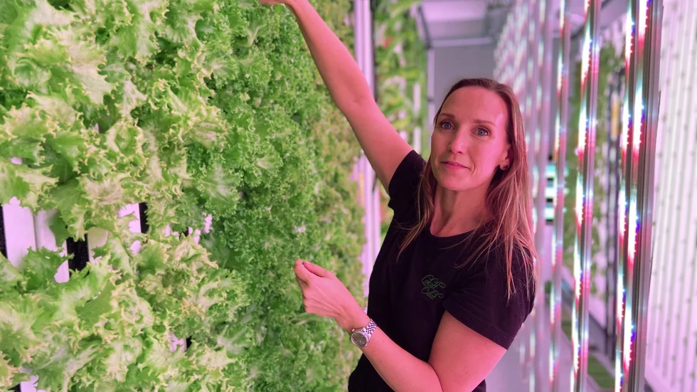Johanna Blom odlar hydroponiskt, det vill säga utan jord och använder ledlampor som ljuskälla. Väggarna är till största delen fulla med sallad men hon experimenterar även med olika kryddor.