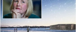 Idéen om ett kallbadhus gillas av Luleås politiker – kan ställa mark till förfogande