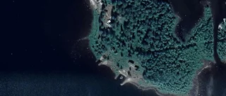 Tomt i Kalix-Nyborg såld till nya ägare - priset: 900 000 kronor