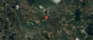 Ny ägare till skogsmark i Glommersträsk