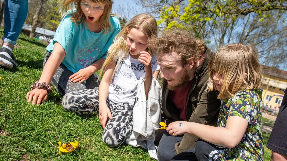 Sigrid,Veronica, teaterpedagogen Olle och Elsa är alla tagna av hur häftigt det var att släppa ut fjärilarna i det fria.