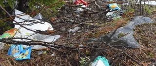 Allemansrätten en rättighet som medför skyldigheter