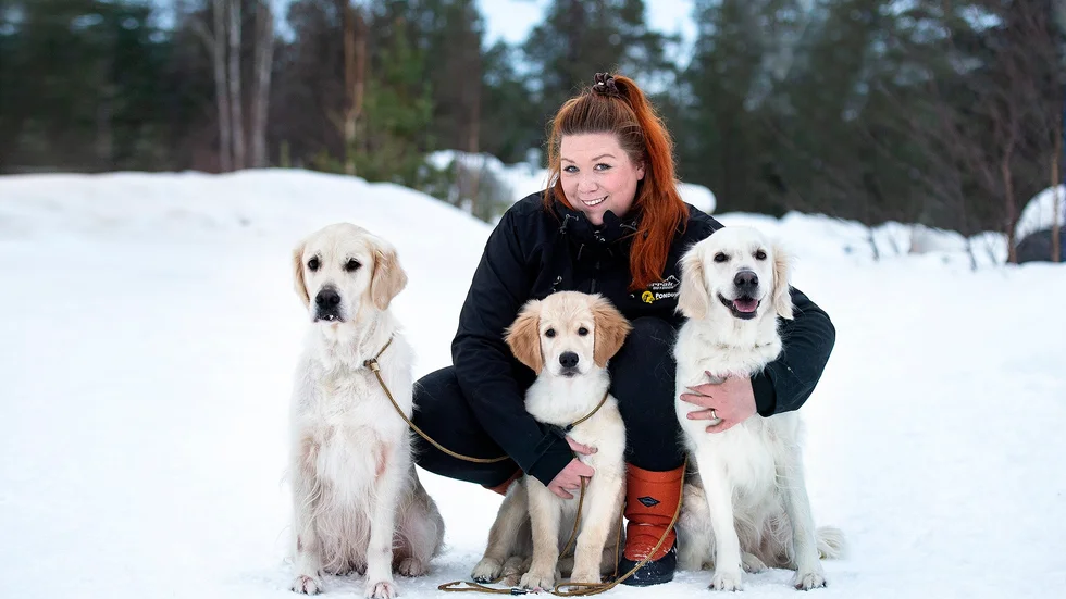 Johanna Dahlberg och hennes familj har gott om egna fyrbenta fotomodeller. Här är tre av åtta. "Men vi vill gärna ha med olika slags hundindivider".
