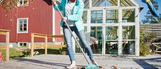 Tillbaka till rötterna för DiLucia