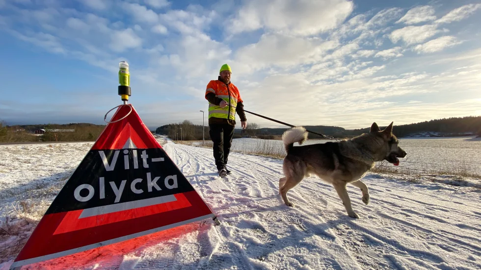 Eftersöksjägare kallades in till flera platser i Västerbottens län under torsdagen. Bilden är en genrebild.
