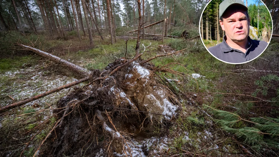 "Det man absolut inte ska göra nu är att springa ut med motorsåg där träd ligger kors och tvärs, det är ett jättefarligt arbete som kan sluta i förskräckelsen. Utan ta då hellre hjälp. Man kan vara självverksam genom att ha god koll på var vindfällena ligger och sedan förmedla det vidare till dem som ska utföra jobbet", berättar områdeschef Johan Johnsson på Södra.