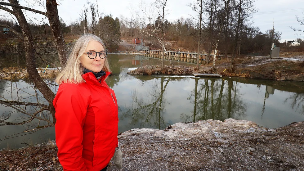 Pernilla Eriksson bor intill Hyndevadsdammen. Efter att ha sett dokumentärserien "Fiskarnas rike" har hon förstått hur mycket vattenkraften utanför hennes fönster påverkar djurlivet.