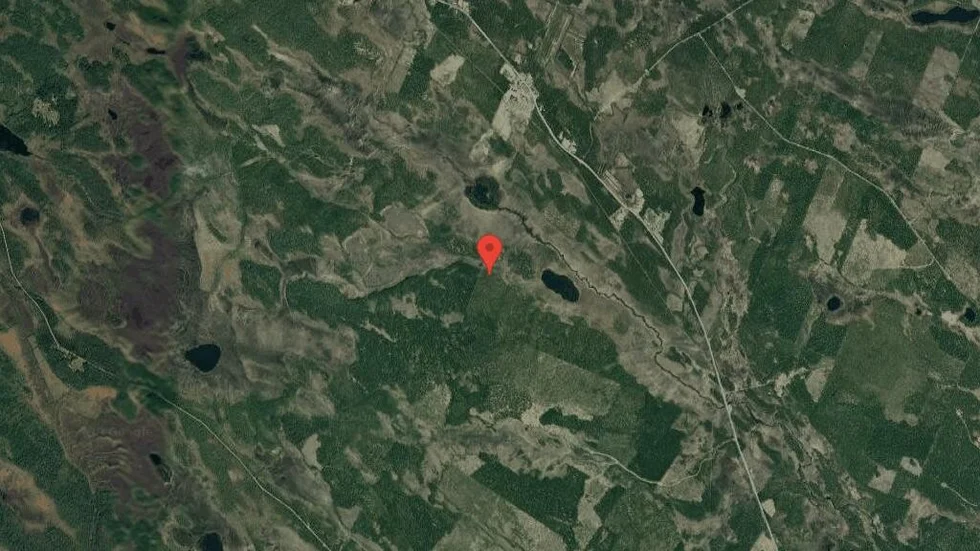 Nya ägare till skog i Adak