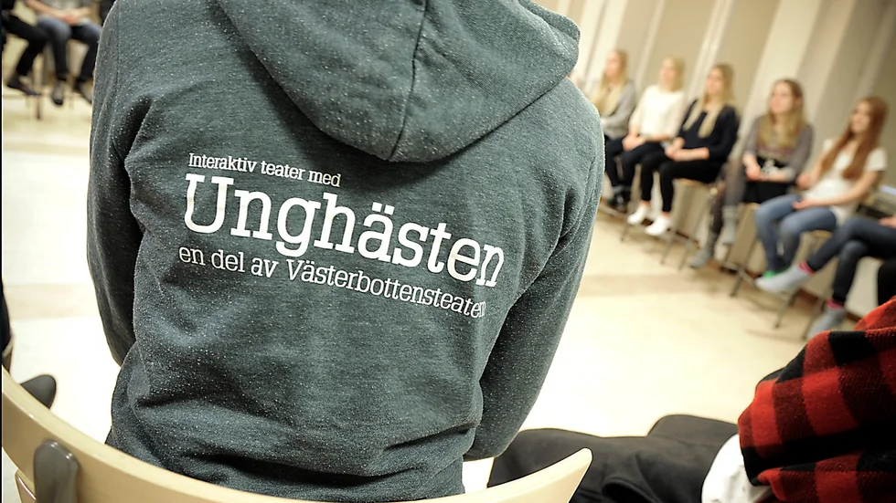 Bilden är från en av Unghästens interaktiva teatrar tillsammans med unga. 