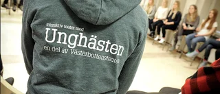 Unghästen firar 20 år – och blir bok 