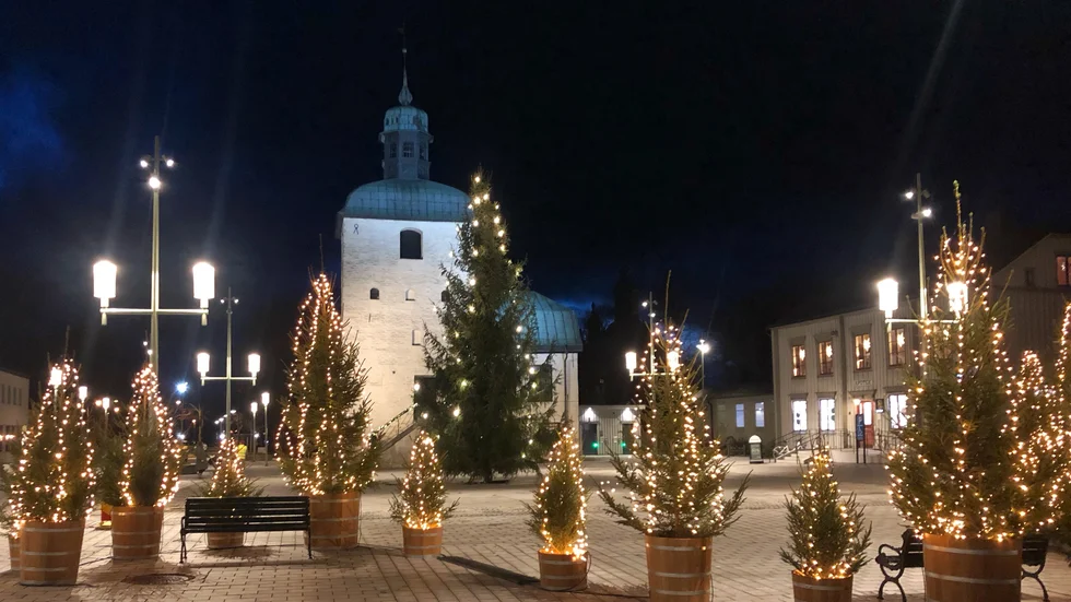 "Det ska kännas lite som att sitta i granskogen, skogen som har flyttat in på Rådhustorget i Vadstena", säger Daniel Wahlström.