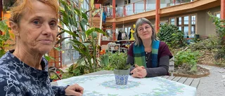 Annika och Amelie valde ett annat liv – nya typer av boenden lockar friska äldre: "Otroligt givande"
