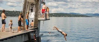 Förslaget: Nytt hopptorn vid badet i Falkträsket