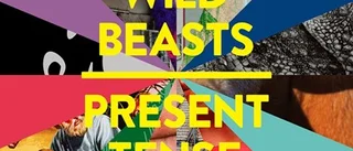 Wild Beasts