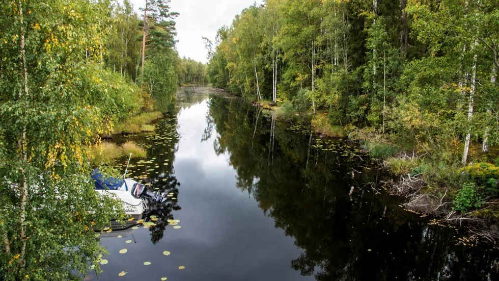 Vattendrag. Tisnare kanal idag, går genom tät skog. På 1910-20-talet var det öppna fält.