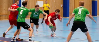Västervik kan få ny fullstor idrottshall – redan till höstlovet
