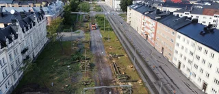 Pandemi, lindar och annat stort och smått