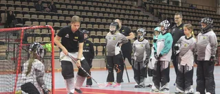 Flera profiler klara för Goalie camp Gotland: "Många av dem är förebilder"