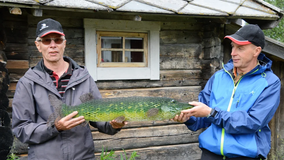 Kjell Lundgren, till vänster, och Richard Landström visar upp den fina vandringspokalen som kommer att överlämnas till det vinnande fiskelaget. En gädda i hönsnät som gjorts av Kerstin Holmgren Westerlund i Marielund.