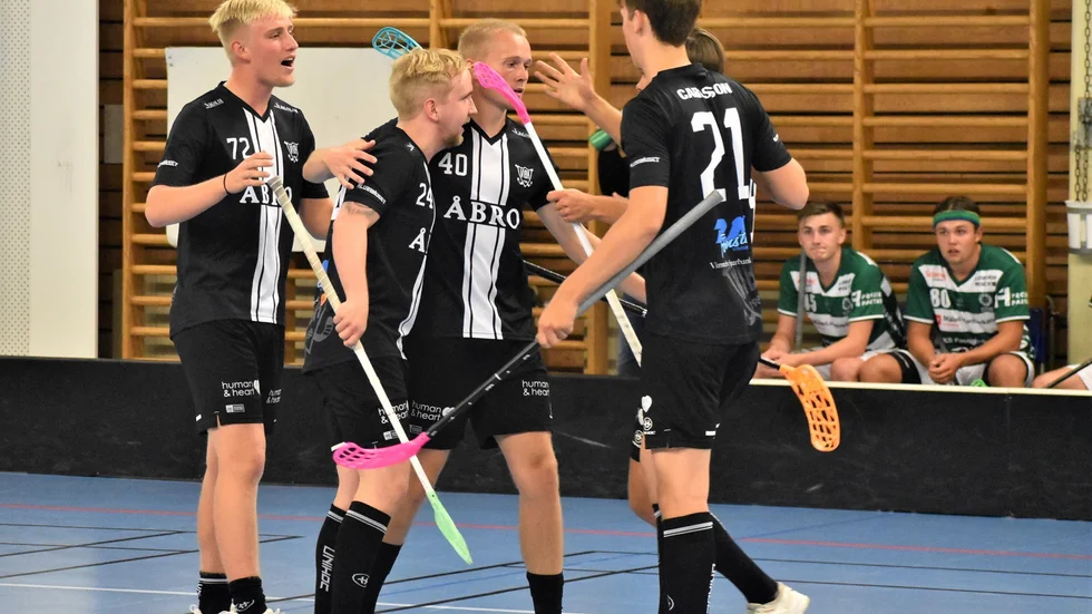 Vimmerby IBK har haft ett tre veckor långt speluppehåll och går nu in i den andra halvan av säsongen. Första uppgiften är Ledberg på bortaplan.