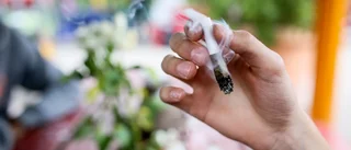 Polis kände cannabislukt – ledde till stort beslag