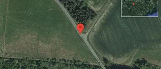 Fallna träd skapar problem i trafiken på väg 682