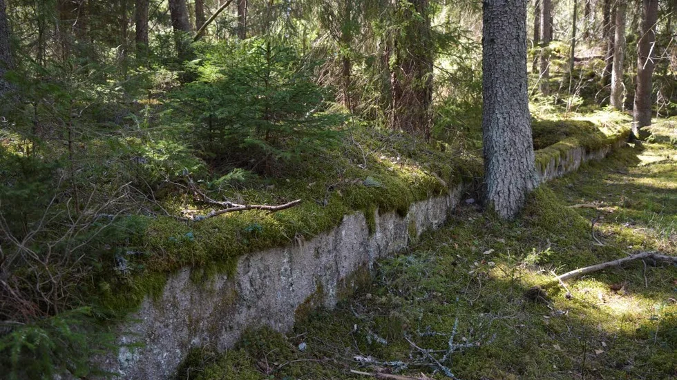 Rester. Mitt i skogen ser man betongfundament från en tid som flytt.