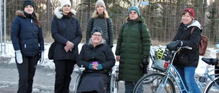 Demonstrant polisanmäler kommunen – har hittat fridlyst art i skog som ska avverkas • ”Idiotiskt” 