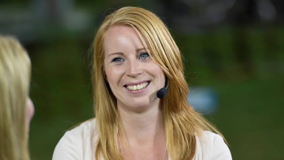 IT-skandal. Dagens debattör tecknar en bakgrundsbild av vad som enligt honom var orsak och verkan i den IT-affär som fått regeringen att skälva i veckan.