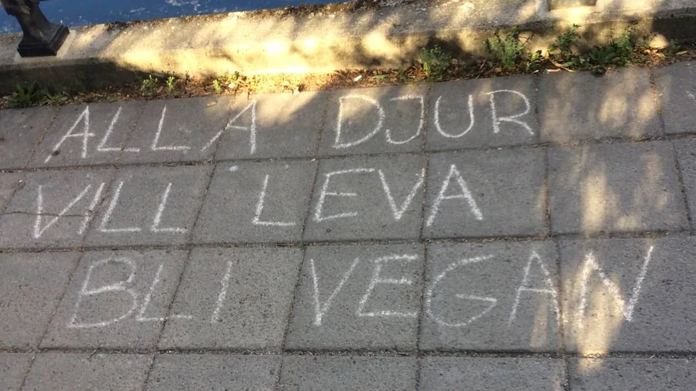 Vegan. Någon eller några har skrivit slagord längs motala ström.