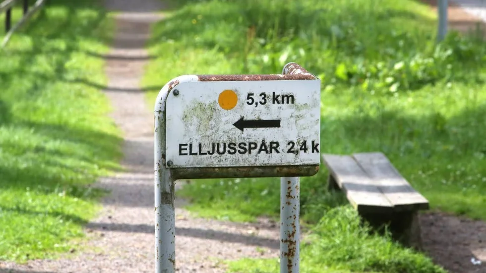 Onanerade. Kvinnan som såg mannen slog larm och polisen kunde gripa honom.