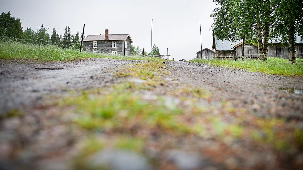 Till fots. På den här vägen har många hovar och fötter trampat. Foto: Lars Eriksson.