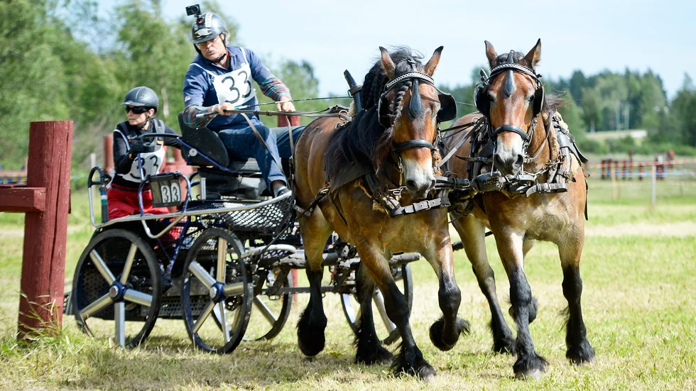 Landslagsförare. Erik Broms kör för det amerikanska landslaget. Foto: Carina Kvist.
