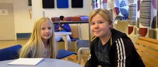 Skolundersökning: Arjeplogs grundskola bäst i Norrbotten