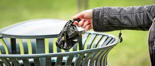 Mindre hundbajs och mer nationalsång i sommar