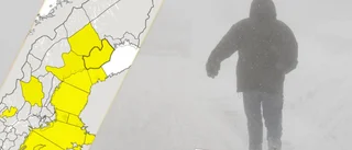 SMHI varnar för snöfall i Västerbotten