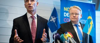 Vår försvarsminister övertygar inte