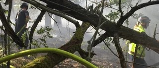 Skogsbrand uppstod i Ormestad