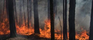 Blir det eldningsförbud i Östergötland?