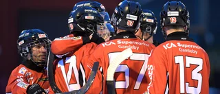 Tjust Bandy drog igång verksamheten igen: "Håller tummarna"