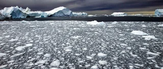 Det behövs ett offensivt ledarskap i klimatfrågan