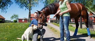 Här går vägen tillElitloppet