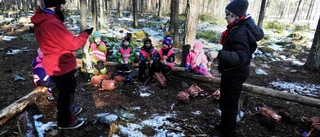 Naturliga lekplatser om barnen får bestämma