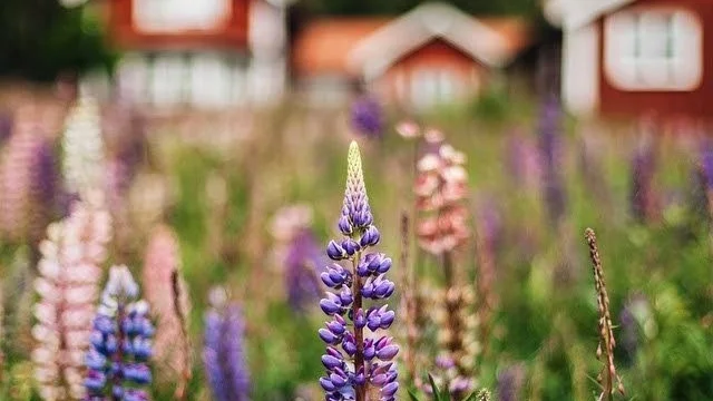 Västervik. Ett foto från Hasselö, av Christoffer Collin/@Wisslaren