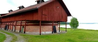 Fler vill gå guidade turer