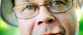 Varför är det getingsommar?