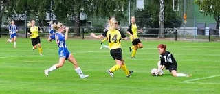 Fritt fram för VFF