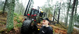 Farhågor för skogen gäller inte här