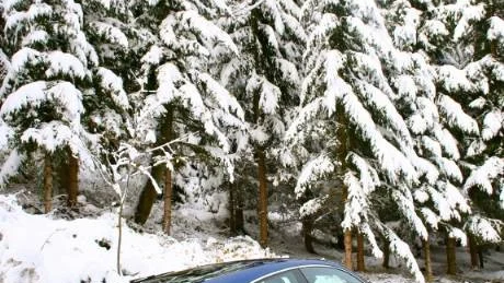 Oplogade vintervägar med snömodd är inga problem för Porsche 911 Carrera 4S. Fyrhjulsdriften gör att sportbilen passar hela året även i Sverige.Foto: Helena Lundberg