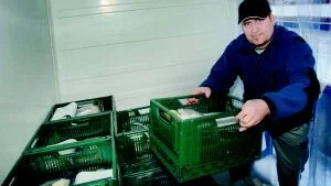 Valfri beställning. Pensionärer som beviljats hjälp med matleveranser kan varje vecka välja bland tio rätter på en meny. Minst fyra rätter måste beställas, och mest populärt är traditionell husmanskost.